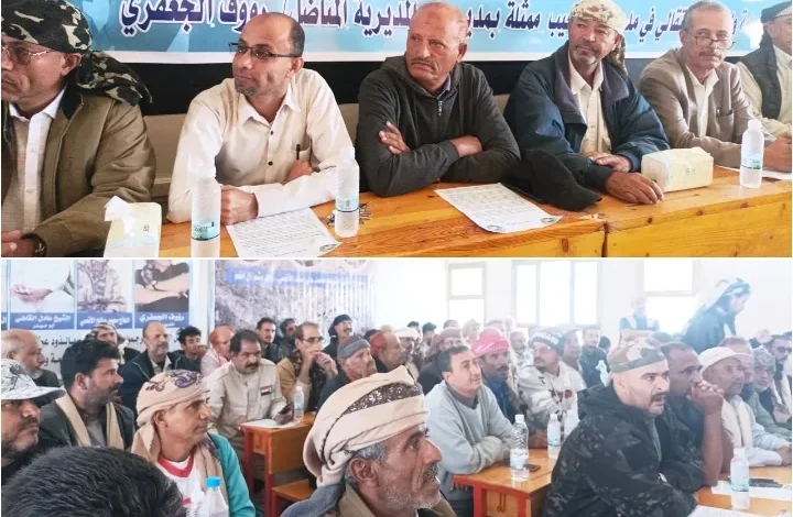 Puzzle ٢٠٢٥١١١٦ ١٨٠٠٠١