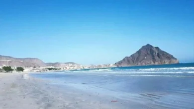 B114cb5b 34b2 44d6 87f1 763626a099ae