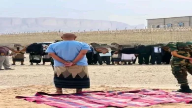 Db647049 7d3d 47e2 85b3 03048ac81d1d