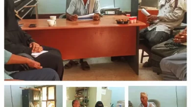 Photo ٢٠٢٥ ١١ ١٩ ٠٣ ١٠ ٤٩