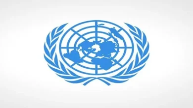 45933374 4976 4029 8dd6 D5000057c5f8