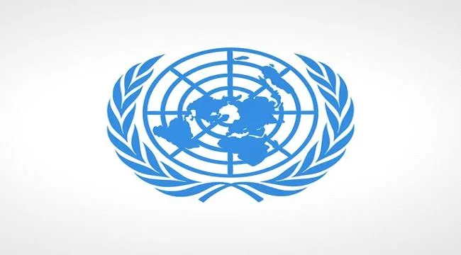 45933374 4976 4029 8dd6 D5000057c5f8