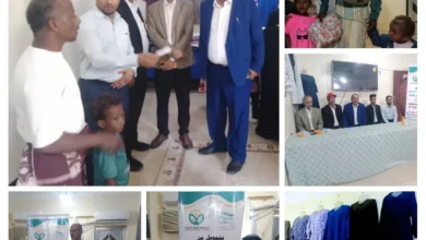 Img ٢٠٢٥١٢٠٤ ١٧٢٧٣٢ Collage