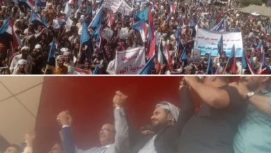 Img ٢٠٢٥١٢١٤ ١٧٢٦٥٢ 1