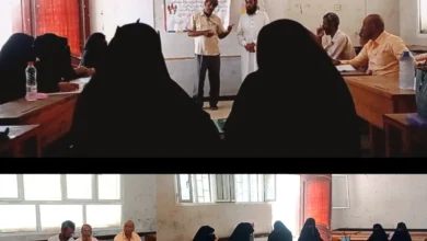 Img ٢٠٢٥١٢٣١ ١٦٢٦٤٧