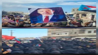 0ded17bb Ce2b 4348 Acc8 Bd5ff7a353cf