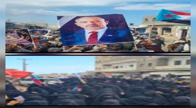 0ded17bb Ce2b 4348 Acc8 Bd5ff7a353cf