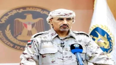 1a8c0a25 Ae5e 42a6 Bda7 3cb5f4ff966c