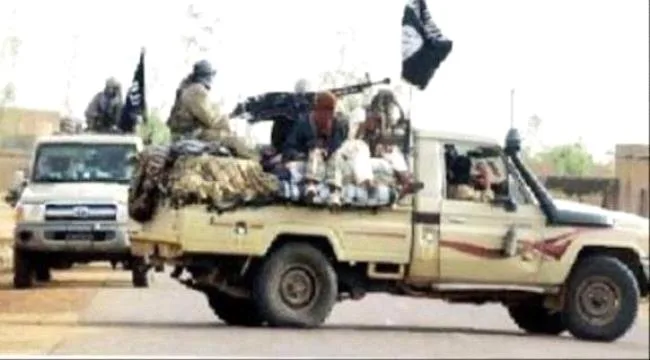 200f1301 8c36 41c5 B605 53ac02496425