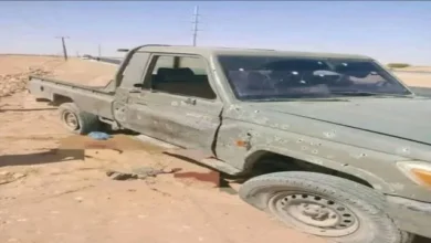 251d8f02 7cae 4849 Abc7 924c6748f675