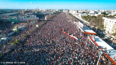 378b4780 C5b7 4866 854f 408508d55c95