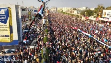 3a4b7bff 5f28 4d84 B1b1 9d3ce4339e74