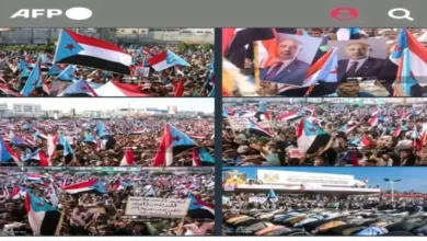 3efcac1b Fabb 48fc 811d 6e478816295e