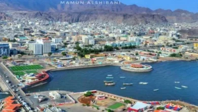 786dfd8e D269 4ad7 8722 6522e0032fa3