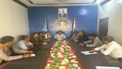 8a1ff724 229e 45dd B5f1 Fe4c5dcc5669