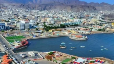 8fcc6cba C8ea 4c66 83a2 6c66996a6e5b