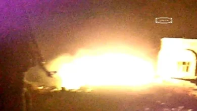 94c1a44e E543 4cb8 9195 8c628c739287