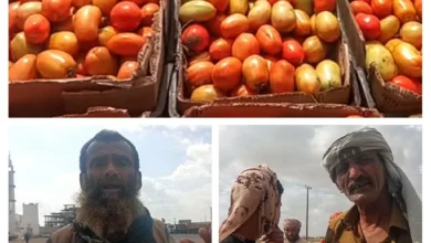 Img ٢٠٢٦٠١٠١ ١٧٤٢٥٥ Collage