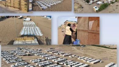 Inshot 20260127 234723577