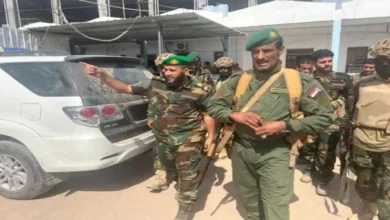 Aa38fbfc 018c 449a B32c 90e4c5867aea