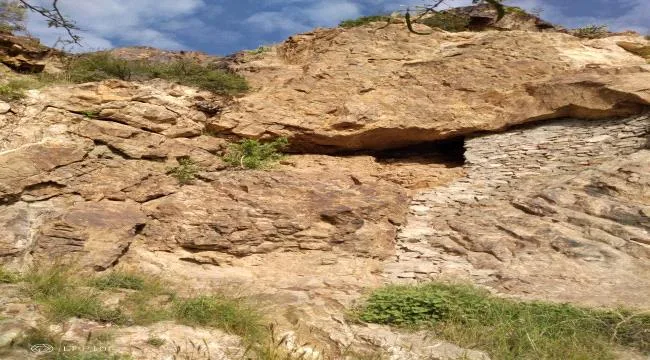 B0ab69b8 9946 439c A187 4732ec677c59