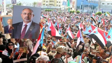 B16dad3c 1141 46ee Afd2 Eb4d9e75db6c