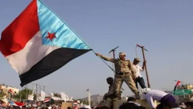 Bca0db81 1eda 4efb B0b6 A0d529559859