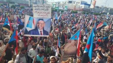 D5db7ad0 01c8 4560 Bbd5 7cdd88cd1149