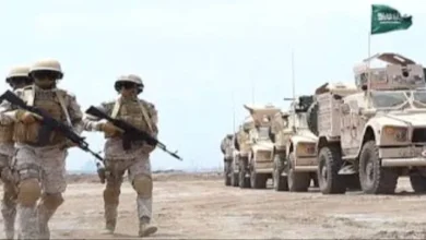 E014374c 9b0d 4253 B92b 9a8e0ddf2e41