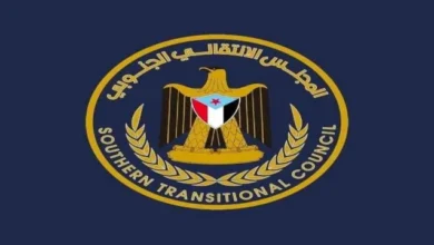 0612abd0 D317 41af B0f8 5b2aff65f129