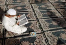 1165b93c 6cdf 4050 9514 E740f21320ab