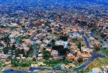 20f7aea5 B29f 427a 81d7 3d520e1a6e9f