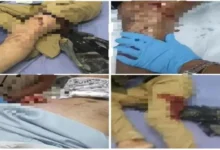 216b78b0 0c74 4d7a A44d 5ea0da72b375