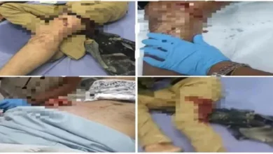 216b78b0 0c74 4d7a A44d 5ea0da72b375