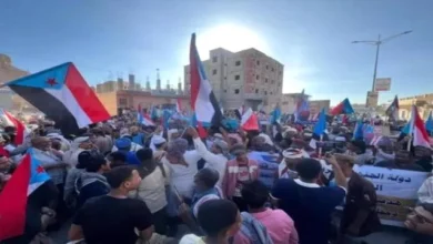 43c3cc27 039e 4fc6 9a95 2e5585a923df