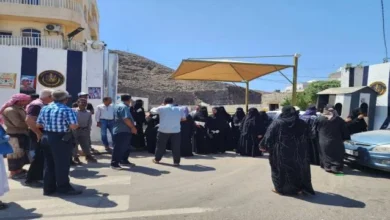 448c556f 765e 433b 977e Dc19859b3147