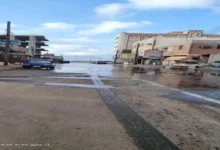 621a7f05 8042 43d9 8086 615d8ae69a6e