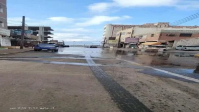 621a7f05 8042 43d9 8086 615d8ae69a6e