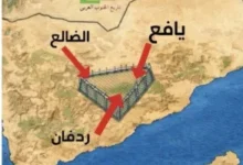 6995f6d8369a6 300x200