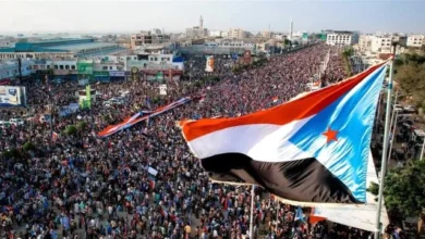 6d657a1d 8bbd 40c0 80b1 Ea7d226a7394