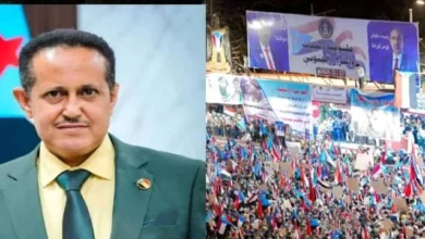 7a94ca43 019b 41d1 B41a Cb1e9ec07342