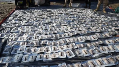 97bad97c Cbd3 459e 97eb Cc568f48b65c