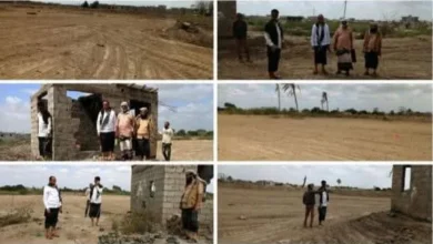 Fb Img 1769959880535