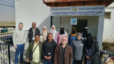 Img 20260201 Wa0022(1)