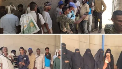 Img ٢٠٢٦٠٢١٠ ١٧٠٤٠٠