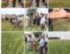 Screenshot ٢٠٢٦ ٠٢ ٠٩ ٠٠ ٢٣ ٢٣ ٦٥٦ Com.whatsapp Edit