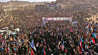 Dcf14ca4 98b0 4f9a A078 F84675761e77