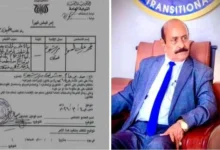 31f7cc3a 9006 4a21 A7e9 9e4c512b7d05