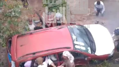 36d93a20 4cc2 406c 8322 Cd5a46b3ca9c