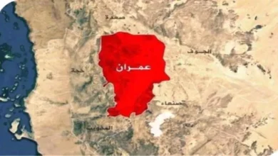 46766fea B4b8 4406 A009 B55c81f3d996